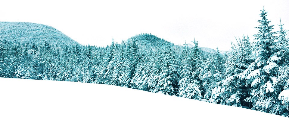 Winter 2017 Small Groups