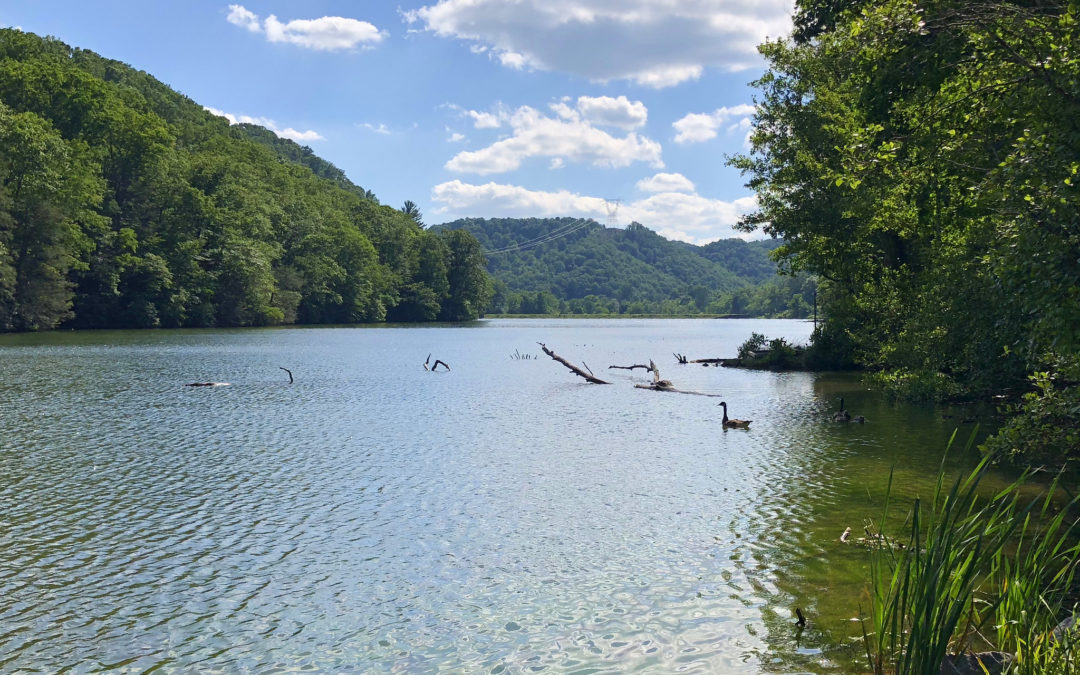 Claytor Lake Picnic 2019