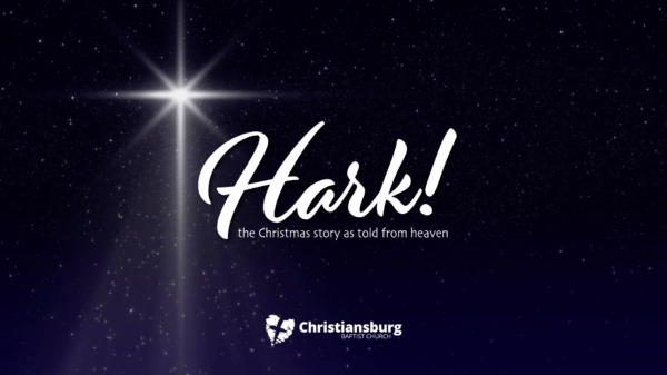 Jesus, the King We Need Image